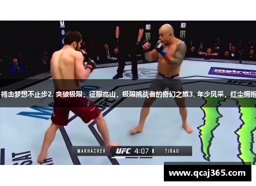 1. 热血拳手闯东京，搏击梦想不止步2. 突破极限，征服高山，极限挑战者的奇幻之旅3. 年少风采，红尘拥抱，羽球少年追梦逐击